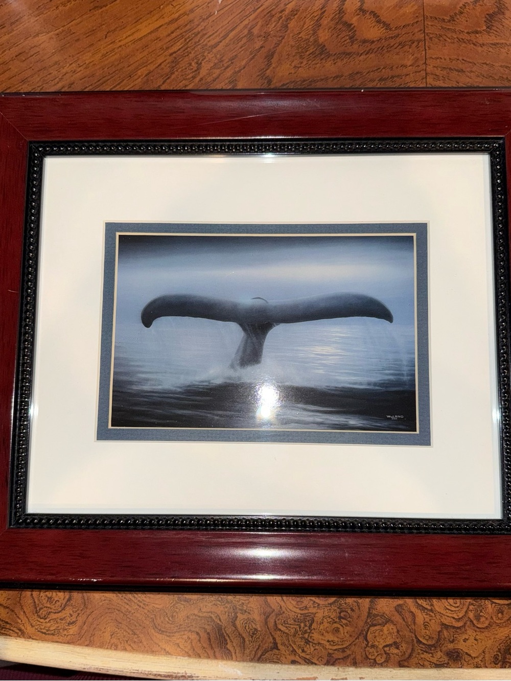 Wyland 'Tails of Great Whales' Art Print - White Mat and custom frame